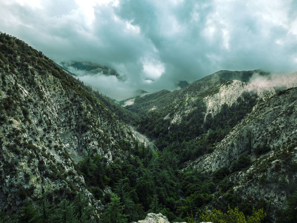 Green Canyon (Poster)