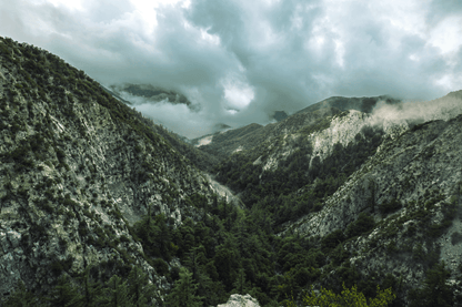 Green Canyon (Poster)