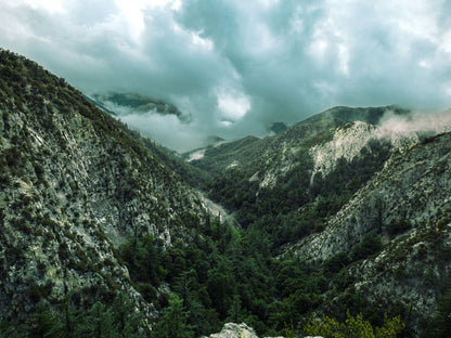 Green Canyon (Poster)